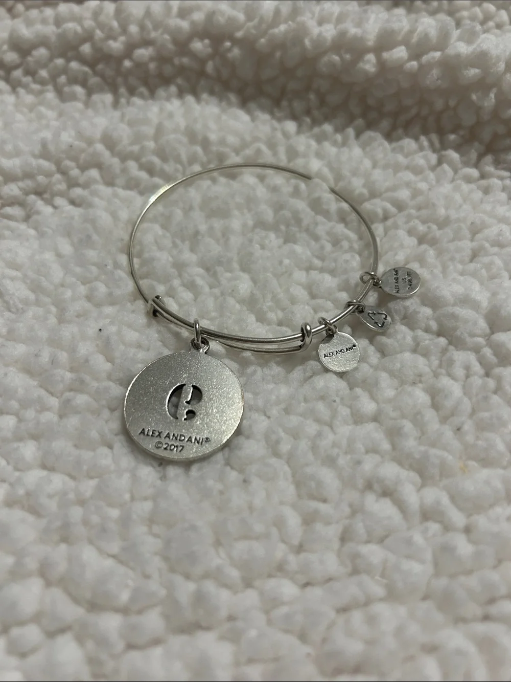 Alex and Ani Silver-Tone 'Kind Noble Worldly' Charm Bangle